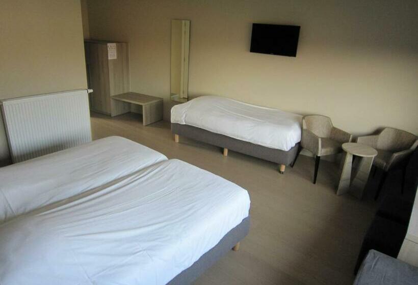 Номер Стандарт Трехместный, B&b 't Withuis