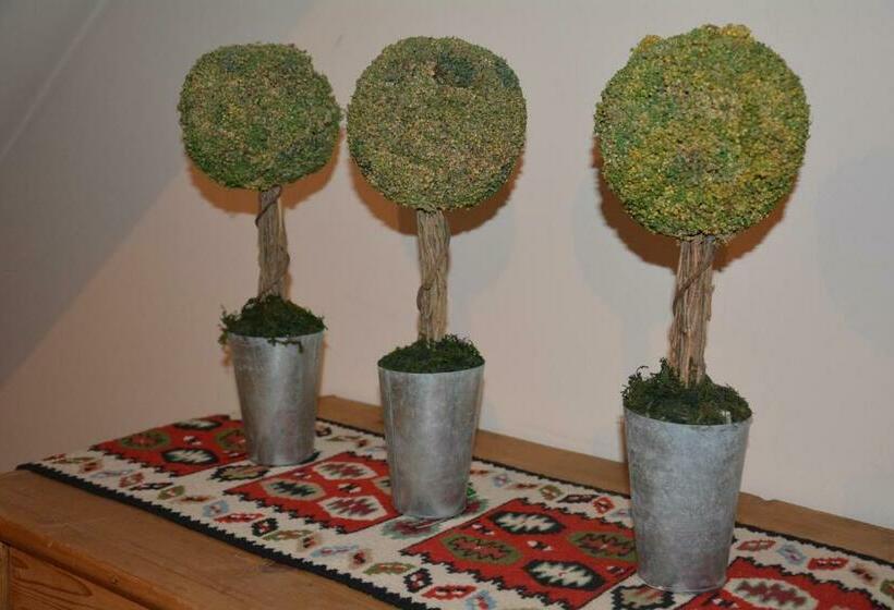 חדר סטנדרט יחיד, Restaurant Fischer