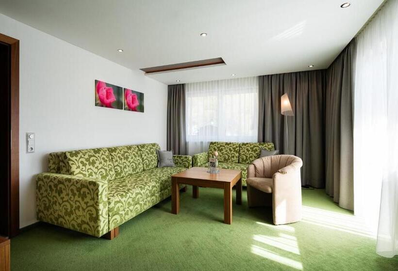 Люкс, Gassner 4 Sterne Superior