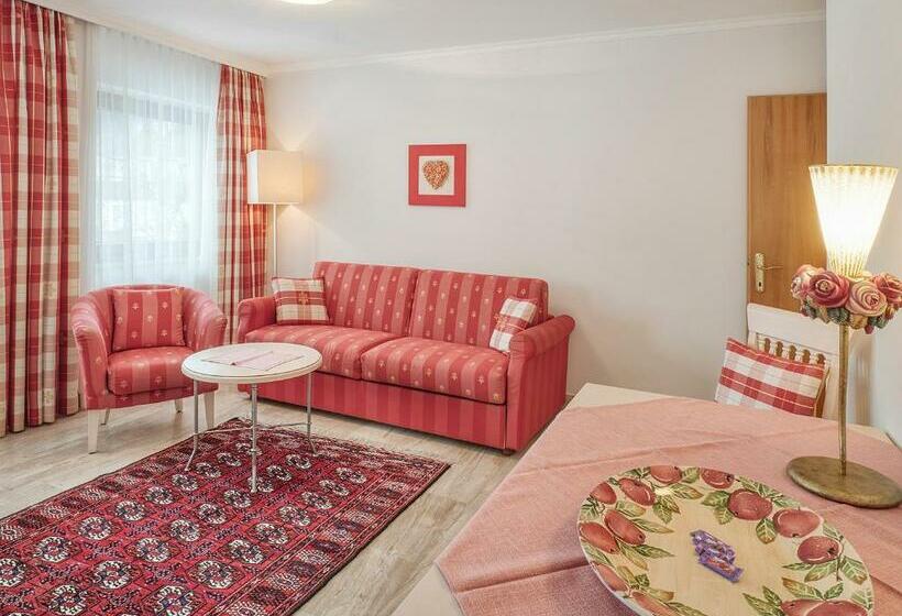 آپارتمان 1 خوابه با بالکن, Magdalena Mayrhofen