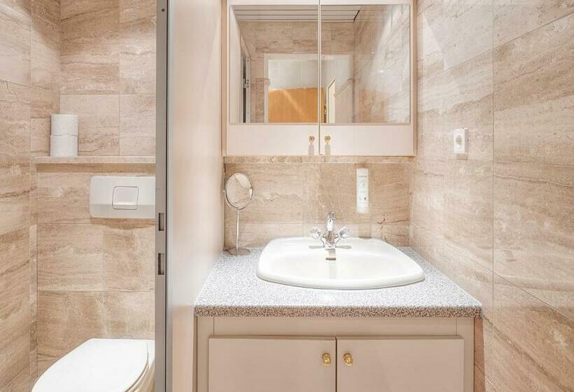 آپارتمان 1 خوابه با بالکن, Magdalena Mayrhofen