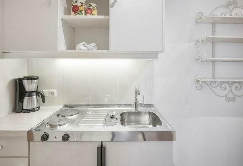 آپارتمان 1 خوابه با بالکن, Magdalena Mayrhofen