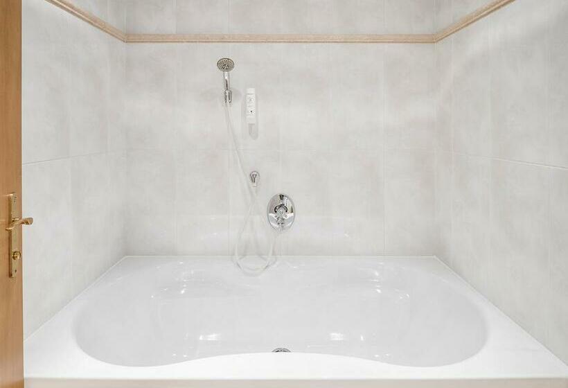 آپارتمان 1 خوابه با بالکن, Magdalena Mayrhofen