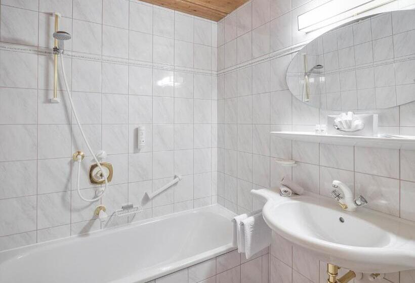 اتاق سوپریور با بالکن, Magdalena Mayrhofen