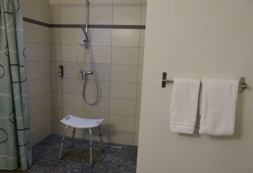 高级大房间, Saint Daniel