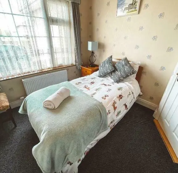 スタンダードシングルルーム, St Anthonys B&b