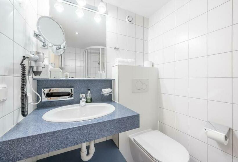 غرفة قياسية فردية, Alpenhotel Zimba