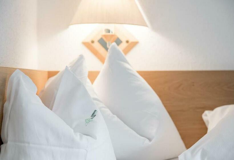 اتاق استاندارد یک نفره, Alpenhotel Zimba