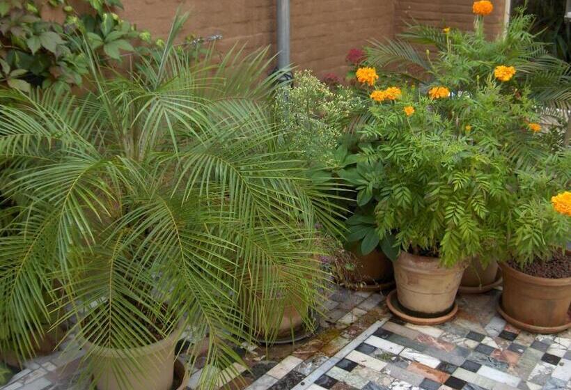 标准间, B&b De Lachende Engel