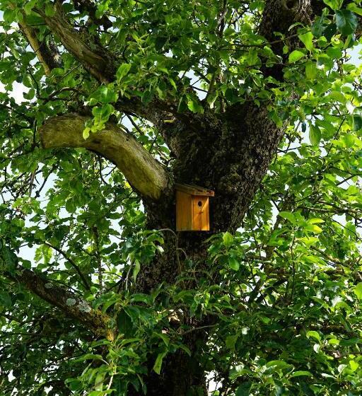 スタンダードルーム, B&b Domaine Du Vieux Chêne