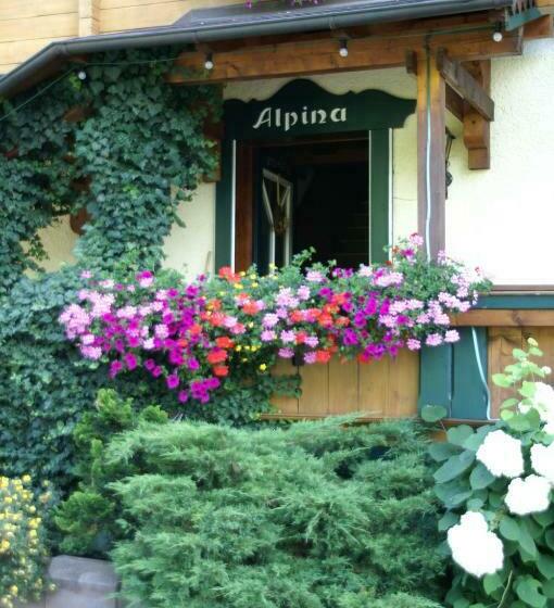 غرفة قياسية فردية مزودة بشُرفة, Haus Alpina