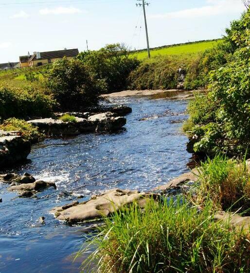 スタンダードルーム, O Connor S Accommodation