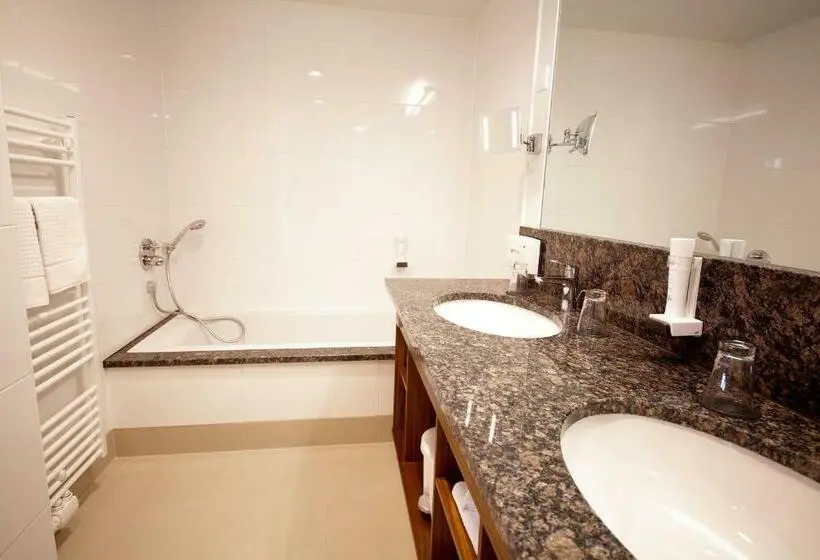 スイート, Business Hotel Ambio Gleisdorf