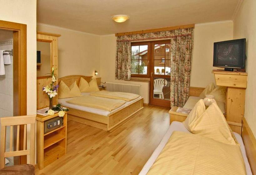 스탠다드 스튜디오, Aparthotel Holzerhof