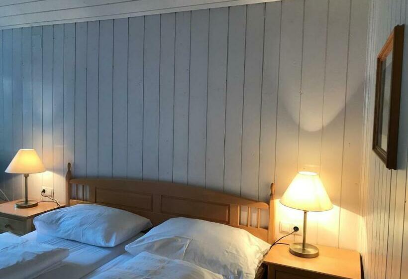 スタンダードルーム, Daneu Gaschurn