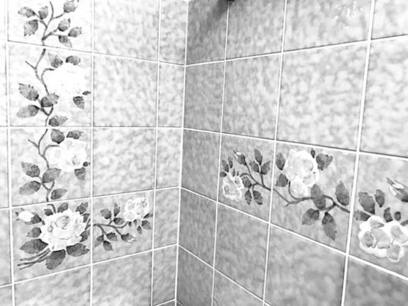 ベーシックルーム, Daneu Gaschurn