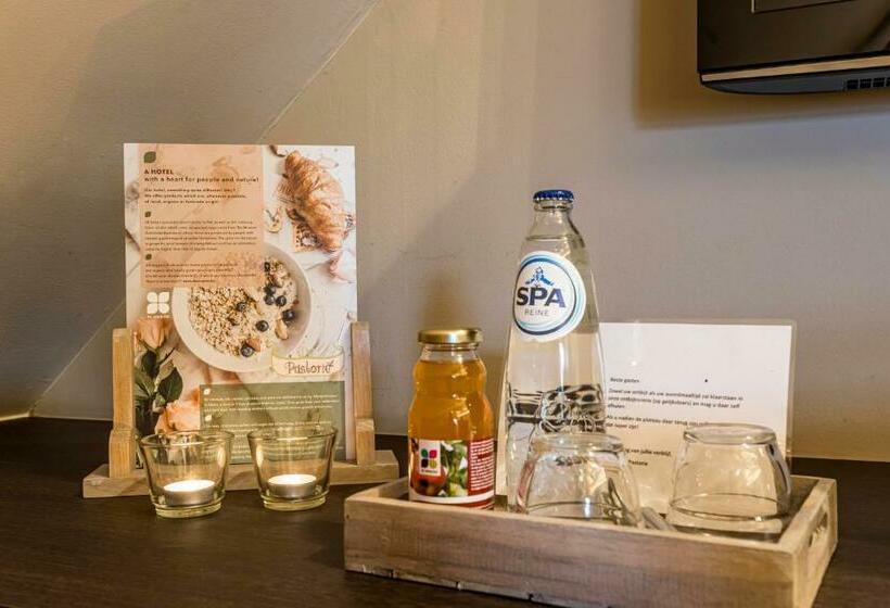 经济房, De Pastorie