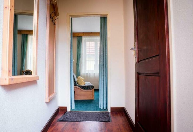 Номер Стандарт, Krug