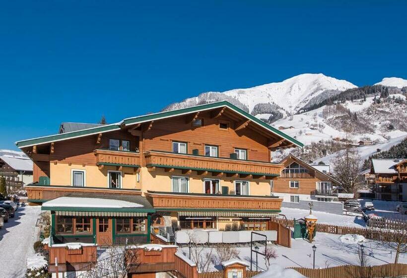 اتاق استاندارد یک تخته با بالکن, Landhaus Montana