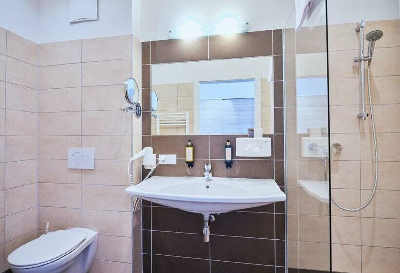 スタンダードルーム, Planai By Alpeffect Hotels