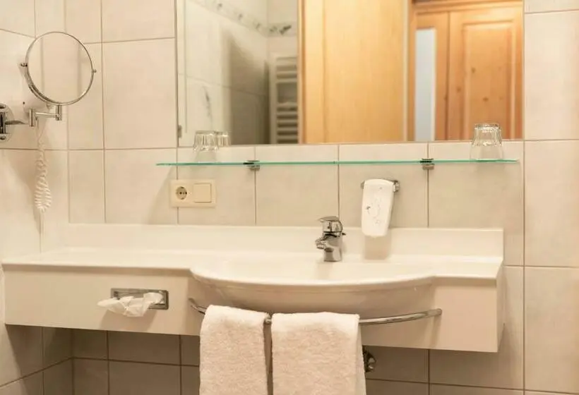 Standard Single Room, Rotlechhof