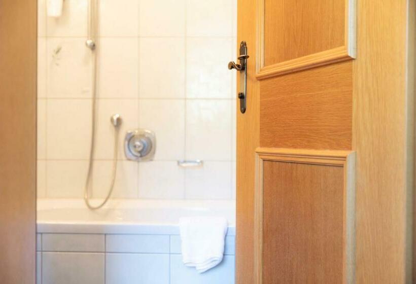 Standard Room, Rotlechhof