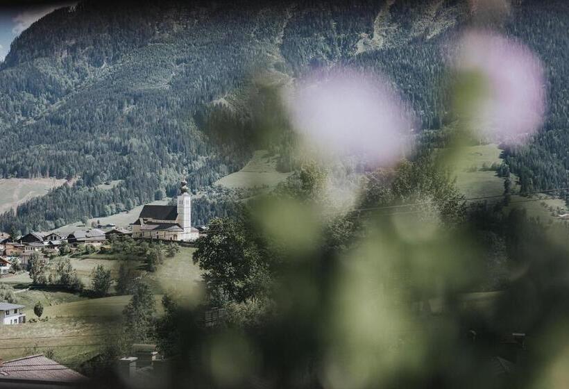 غرفة قياسية ذات إطلالة بانورامية, Silberfux