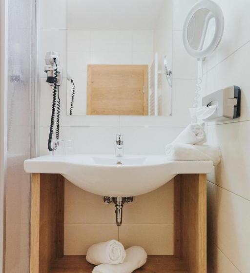 غرفة قياسية ذات إطلالة بانورامية, Silberfux