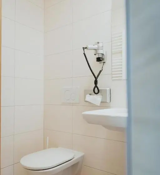Standard Yhden Hengen Huone, Silberfux