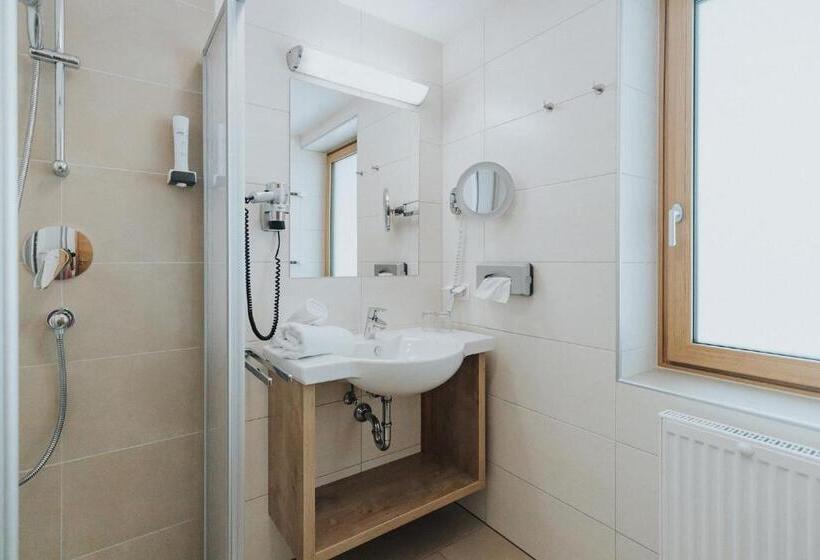 غرفة قياسية فردية, Silberfux