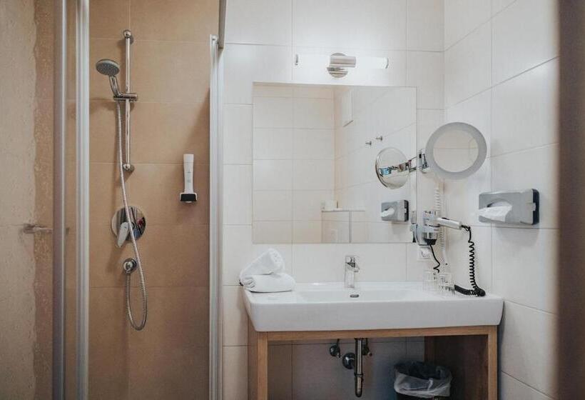 غرفة قياسية مزوَّدة بتراس, Silberfux