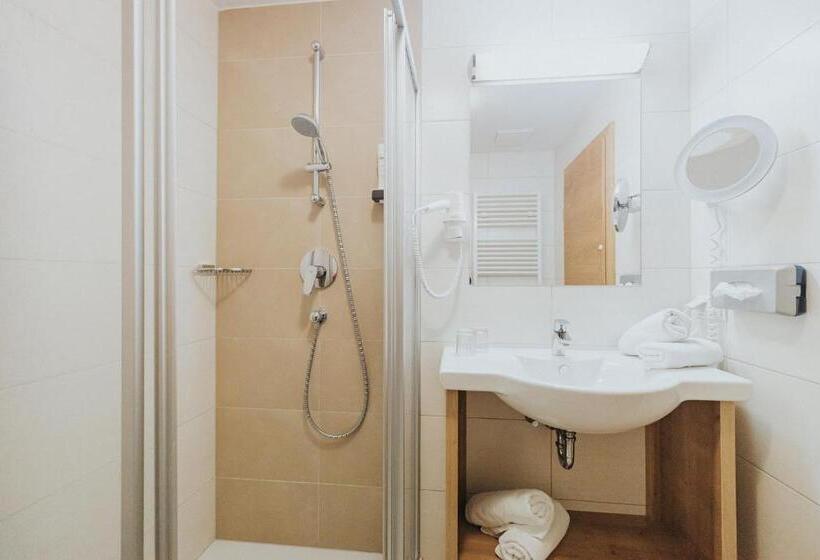 غرفة قياسية مطلة على الجبل, Silberfux