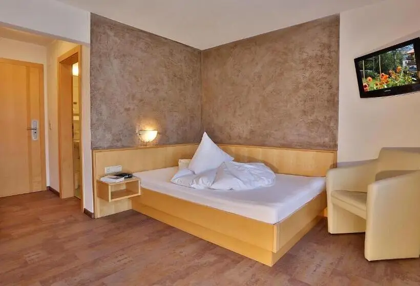Standard Yhden Hengen Huone, Silvretta