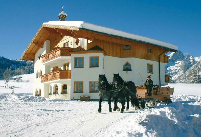 Студия Стандарт, Berghotel Lämmerhof