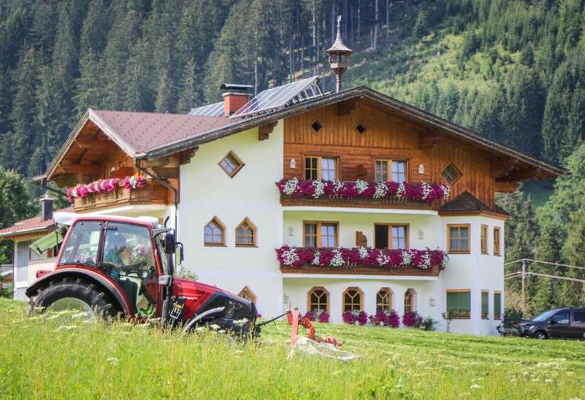 شقة غرفة واحدة, Berghotel Lämmerhof