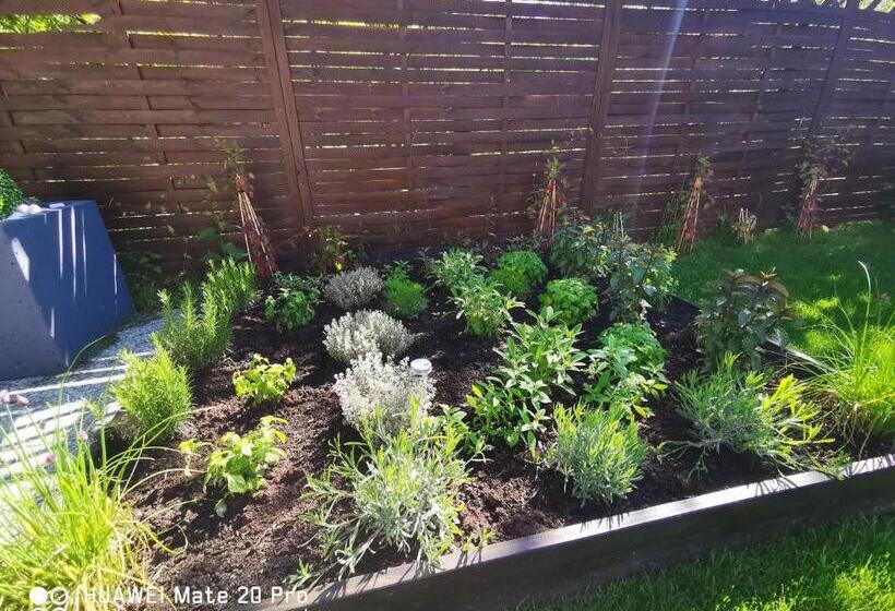 标准单人间, Tarvisio Four Seasons