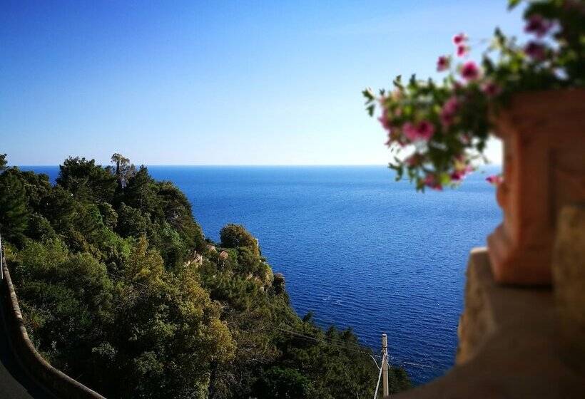 Номер Стандарт, Badia Santa Maria De  Olearia