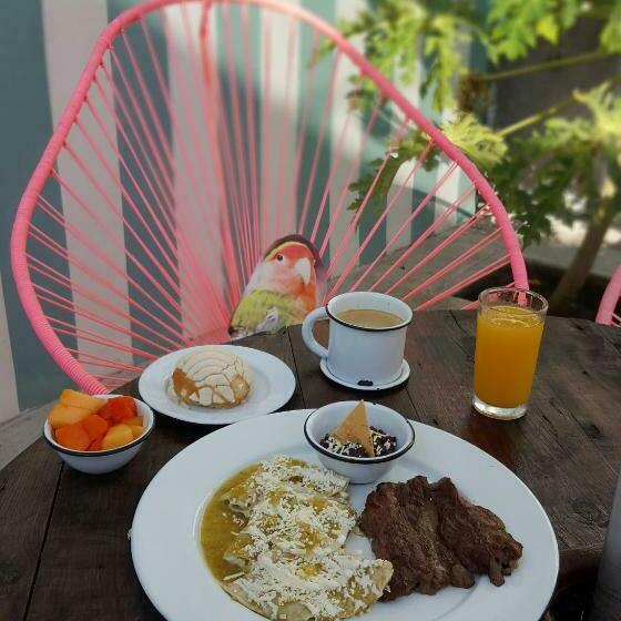 Номер Стандарт 2 Двуспальные Кровати, Mas Basico