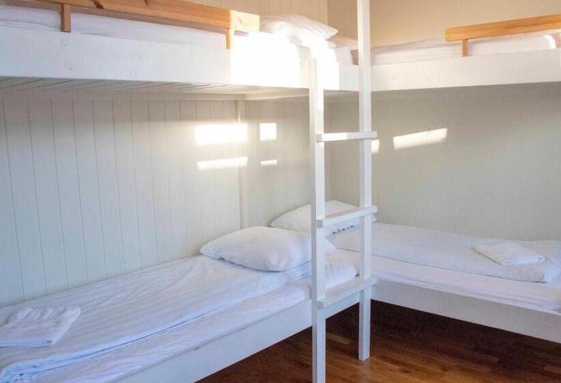 اتاق استاندارد چهارنفره با سرویس بهداشتی مشترک, Puffin Hotel Vík