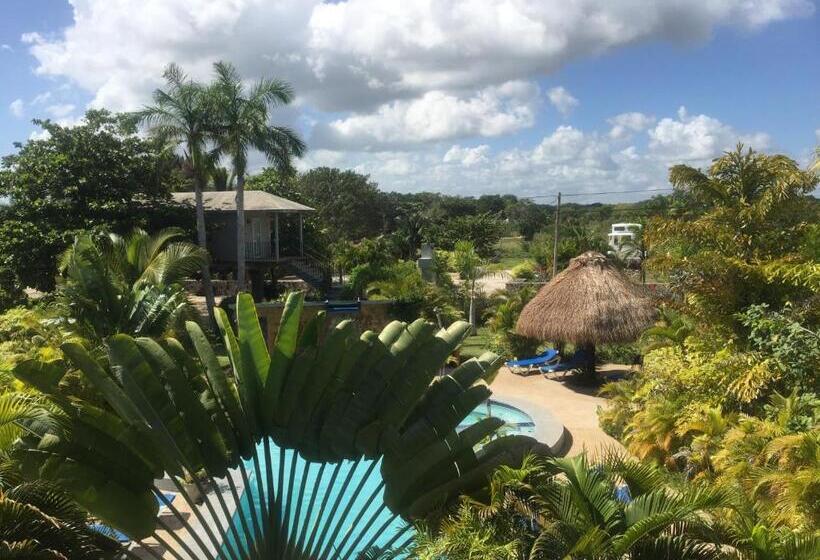 اتاق استاندارد با چشم‌انداز استخر, Almond Tree Hotel Resort