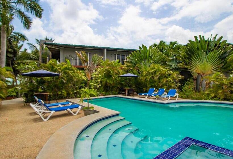 اتاق استاندارد با چشم‌انداز استخر, Almond Tree Hotel Resort