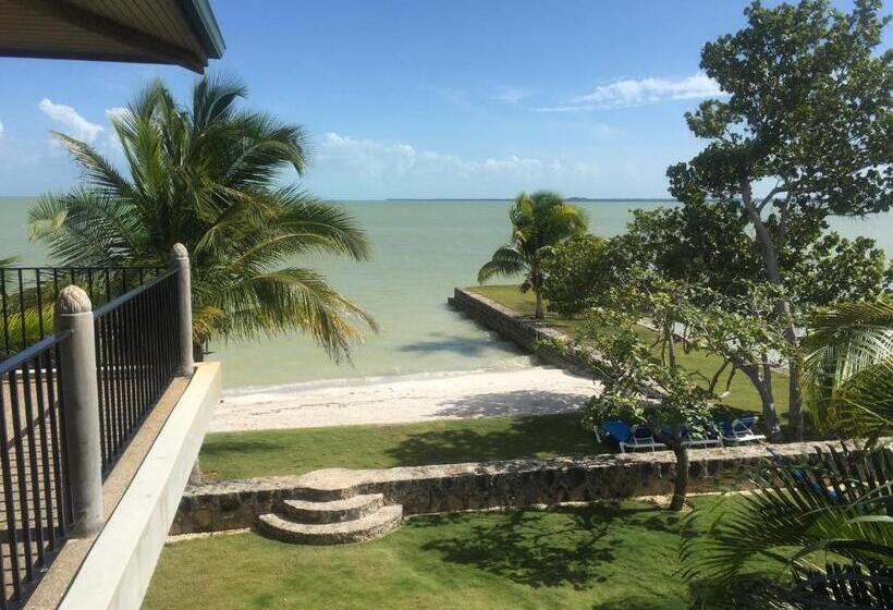 اتاق استاندارد, Almond Tree Hotel Resort