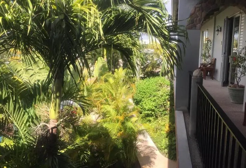 اتاق استاندارد, Almond Tree Hotel Resort