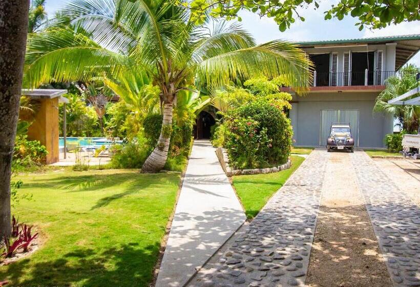 سوییت لوکس, Almond Tree Hotel Resort