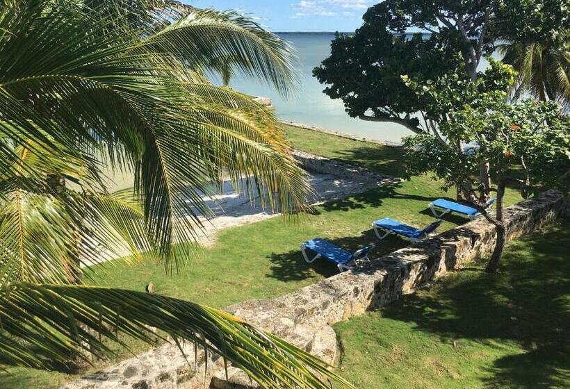 اتاق استاندارد با چشم‌انداز دریا, Almond Tree Hotel Resort