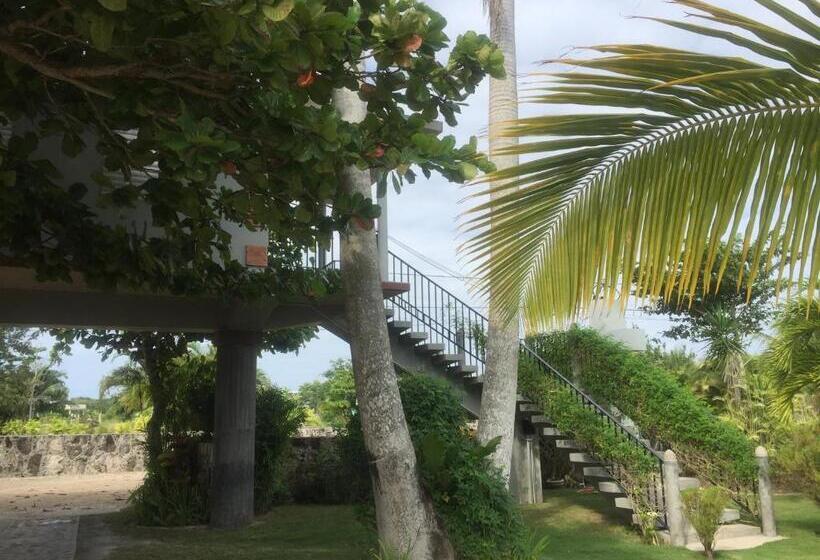 استودیوی استاندارد, Almond Tree Hotel Resort