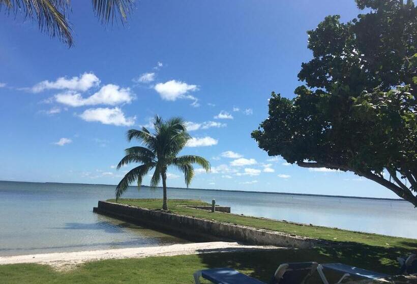 استودیوی استاندارد, Almond Tree Hotel Resort