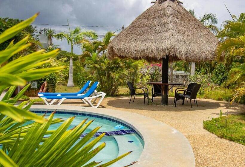 اتاق استاندارد با چشم‌انداز استخر, Almond Tree Hotel Resort