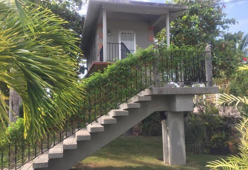 استودیوی استاندارد, Almond Tree Hotel Resort