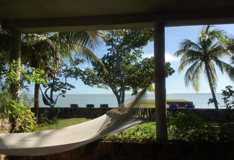 اتاق استاندارد با چشم‌انداز دریا, Almond Tree Hotel Resort